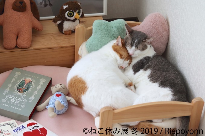 「猫休み展 冬 2019」 東京・浅草橋で開催、SNS未公開作品＆新作展示やオリジナルグッズも｜写真5