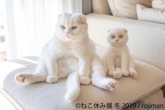 「猫休み展 冬 2019」 東京・浅草橋で開催、SNS未公開作品＆新作展示やオリジナルグッズも｜写真6