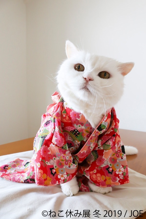 「猫休み展 冬 2019」 東京・浅草橋で開催、SNS未公開作品＆新作展示やオリジナルグッズも｜写真9