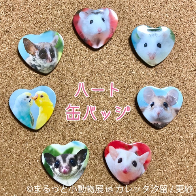 合同写真＆物販展「まるっと小動物展 in カレッタ汐留」ハリネズミやハムスター、ショウガラゴも｜写真24