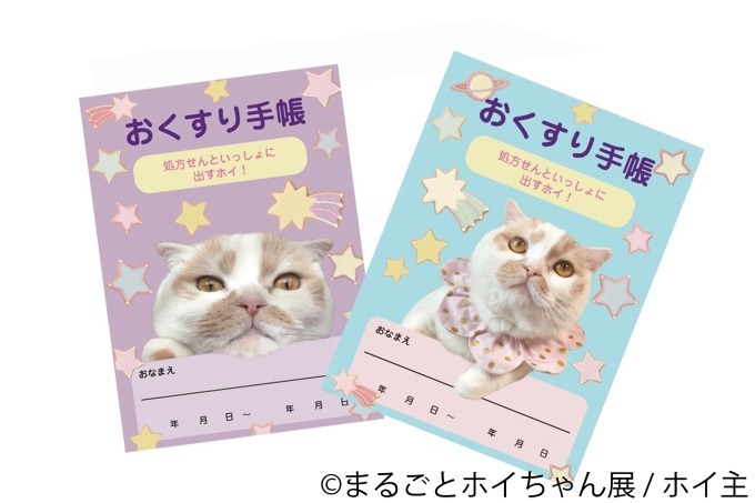 「ねこ休み展」初の単独展「まるごとホイちゃん展」ルクア大阪で、人気猫“ホイちゃん”にフォーカス｜写真18