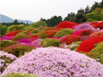 「印象派、記憶への旅」ポーラ美術館とひろしま美術館で、ピカソやゴッホなど印象派の風景画74点｜写真25