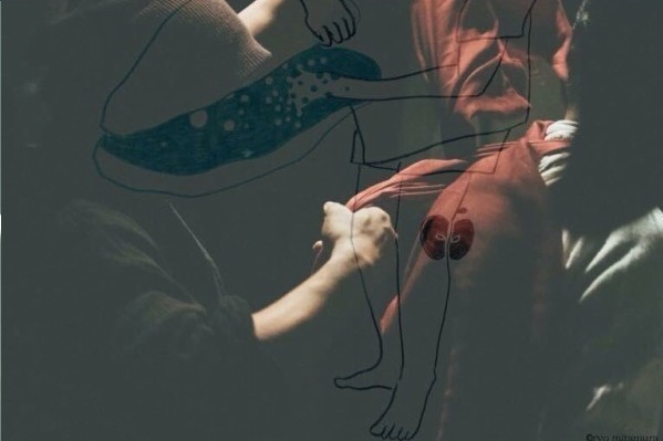 「仕立て屋のサーカス」