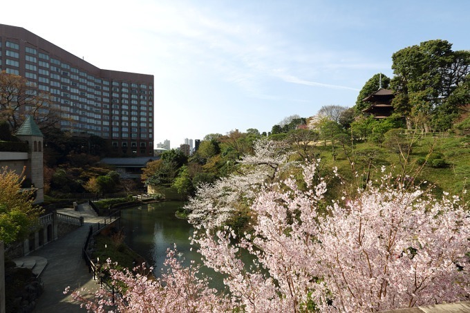 ホテル椿山荘東京「桜アフタヌーンティー」桜あんパンナコッタやよもぎスコーンで“インドア花見”｜写真18