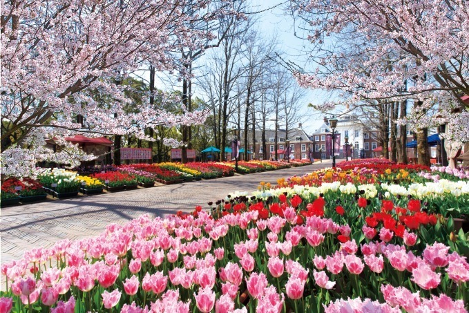 長崎ハウステンボス 100万本の大チューリップ祭 アート展示や 桜 コラボ 夜はイルミネーションも ファッションプレス
