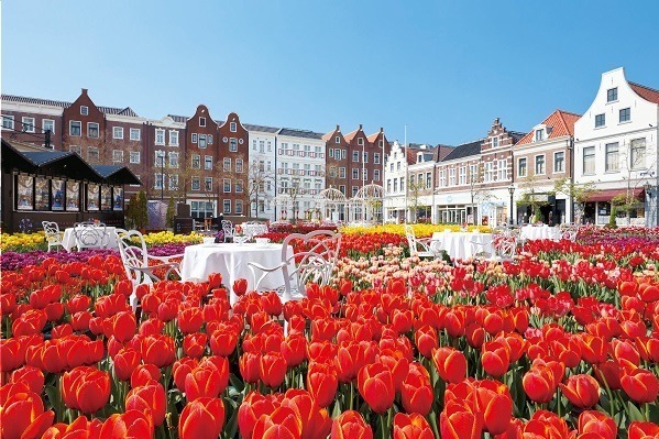 「100万本の大チューリップ祭」