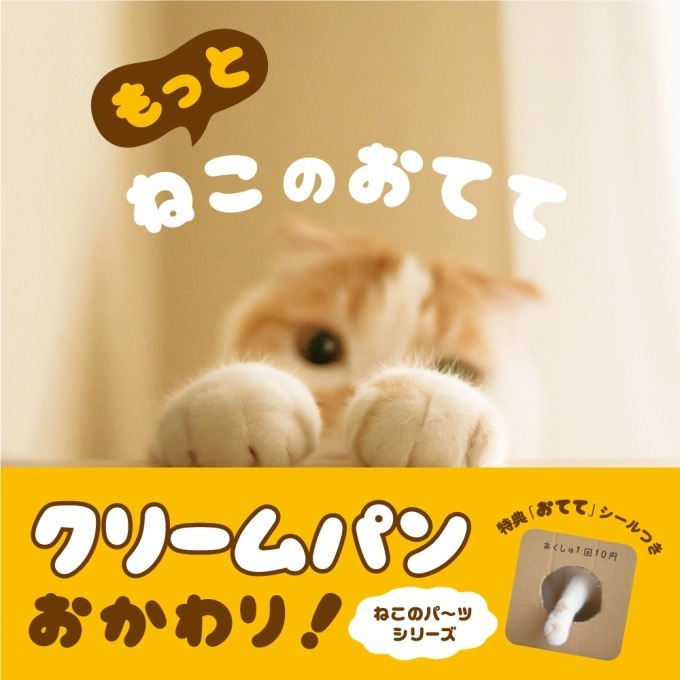 “ねこのおてて”写真集が再び！シリーズ第4弾、書籍『もっと ねこのおてて』発売｜写真1