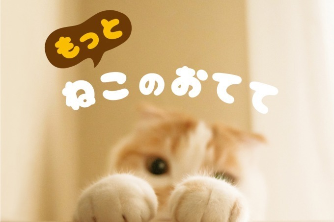 クリームパン｜“ねこのおてて”写真集が再び！シリーズ第4弾、書籍『もっと ねこのおてて』発売