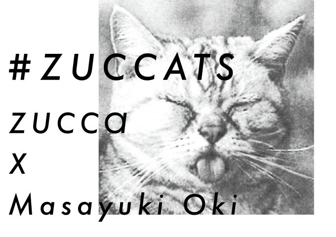 ズッカ(ZUCCa) ZUCCATS｜写真14