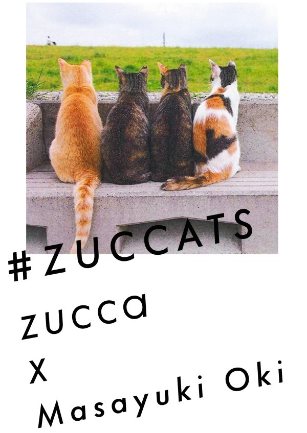 ズッカ(ZUCCa) ZUCCATS｜写真17