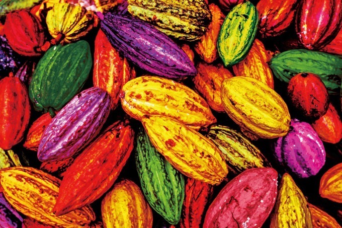 「サロン・デュ・ショコラ2019」ジェイアール京都伊勢丹で開催、“納豆”を使ったチョコレートなど｜写真7