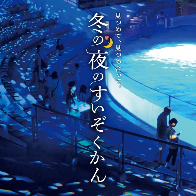 京都水族館「冬の夜のすいぞくかん」活発に動くオオサンショウウオ＆すやすや眠るペンギンなど観察｜写真11