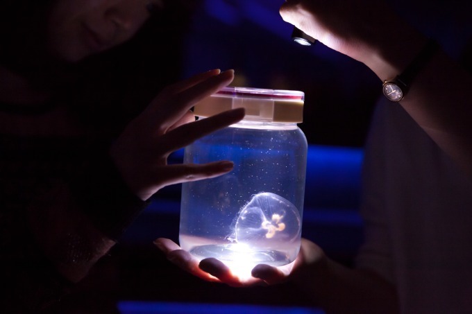 すみだ水族館「雪とクラゲ」人の動きで変化する雪化粧した都会にクラゲが漂う｜写真1