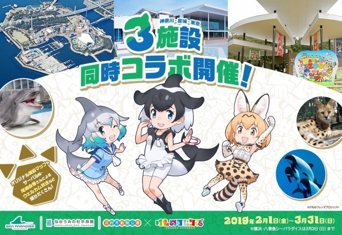 『けものフレンズ』八景島シーパラダイス・仙台うみの杜水族館・羽村市動物公園でコラボイベント｜写真3