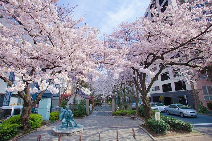 「日本橋 桜フェスティバル」桜の木を再現したデジタルアートの“お花見”や桜のスイーツなど｜写真23