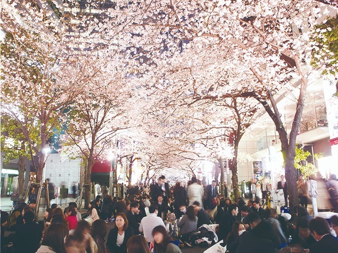 「日本橋 桜フェスティバル」桜の木を再現したデジタルアートの“お花見”や桜のスイーツなど｜写真20