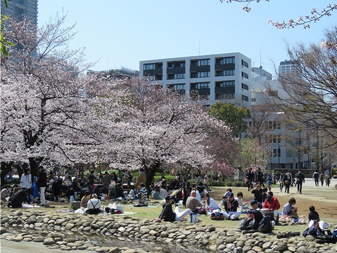 「日本橋 桜フェスティバル」桜の木を再現したデジタルアートの“お花見”や桜のスイーツなど｜写真22