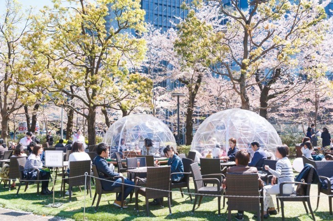 東京ミッドタウンの花見イベント「ミッドタウン・ブロッサム」お酒と桜を楽しめる屋外ラウンジも｜写真7