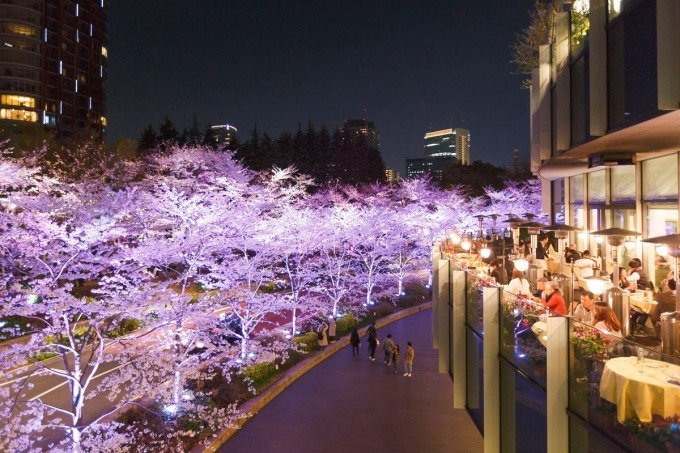 東京ミッドタウンの花見イベント「ミッドタウン・ブロッサム」お酒と桜を楽しめる屋外ラウンジも｜写真6