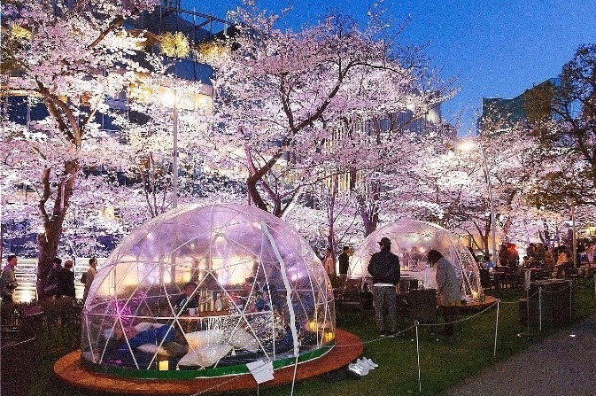 東京ミッドタウンの花見イベント「ミッドタウン・ブロッサム」お酒と桜を楽しめる屋外ラウンジも｜写真20