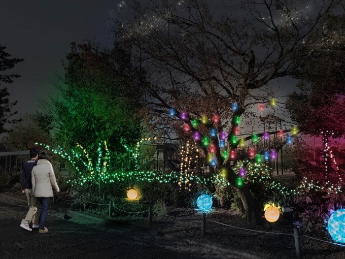 ライトアップイベント「京都・冬の光宴」梅小路公園内で、LED約3万球で"星くずの架け橋"を表現｜写真1