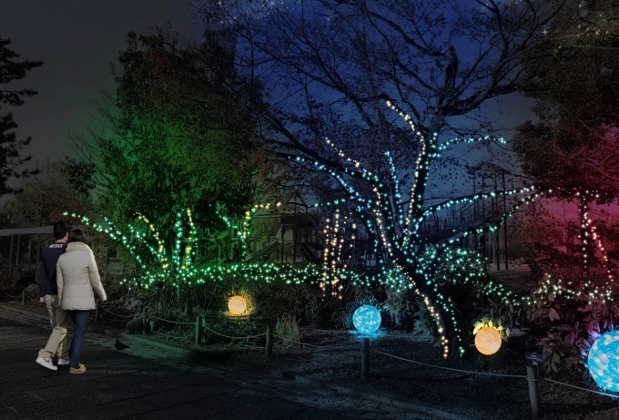 ライトアップイベント「京都・冬の光宴」梅小路公園内で、LED約3万球で"星くずの架け橋"を表現｜写真5