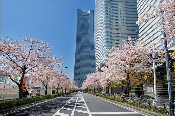 全国の桜イベント2019 - デジタルアートと夜桜コラボ、絵画で楽しむお花見も｜写真6