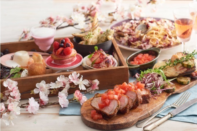 お花見｜キハチ 青山本店「桜テラス」お花見弁当スタイルで楽しむ“桜”メニュー、飲み放題ロゼワインも