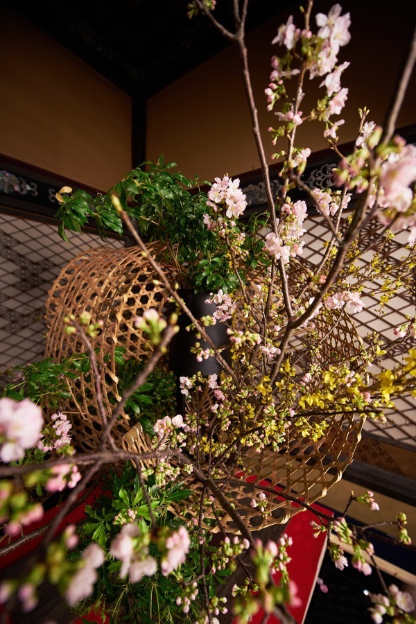 「春・さくら、咲クヤat百段階段」古典歌舞伎の衣装や江戸のかんざし、工芸品など桜がテーマの作品集結｜写真5