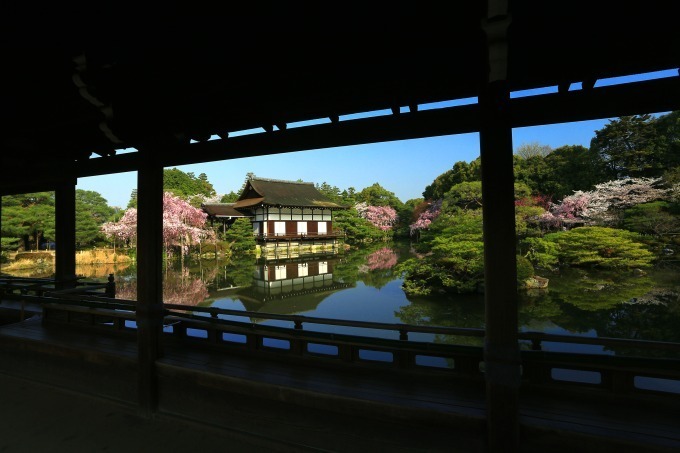 “京都で花見” - 東寺や平安神宮など桜名所を特集、夜桜を楽しめる夜間拝観情報も｜写真6