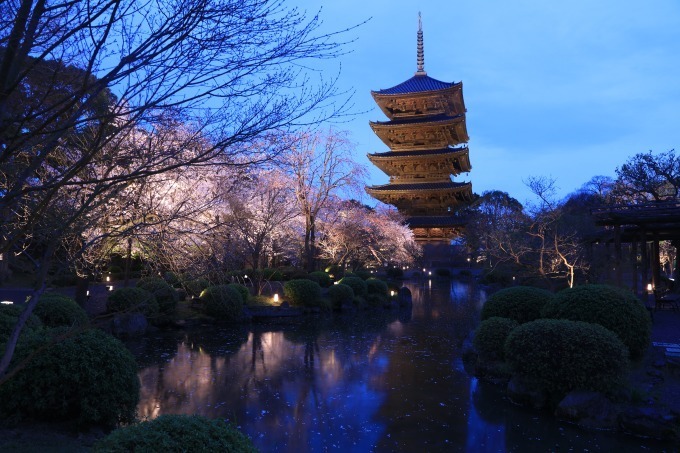 写真4 12 京都で花見 東寺や平安神宮など桜名所を特集 夜桜を楽しめる夜間拝観情報も ファッションプレス
