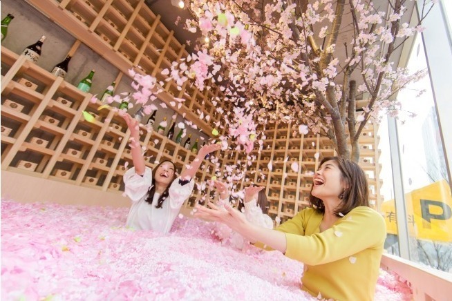 おつまみ｜「サクラチルバー」南青山で、佐賀の日本酒＆苺と楽しむ"インドア花見" - 桜の花びらプールも