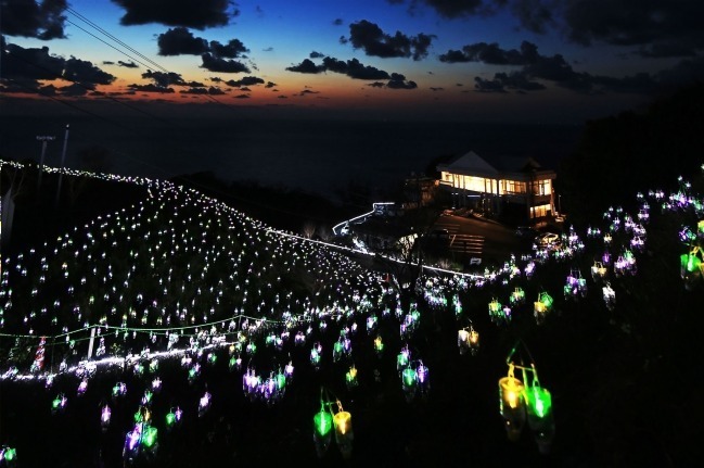 絶景イルミネーション「水仙岬のかがやき2019」福井で - 16,100個のLEDによる“電飾の花”｜写真2