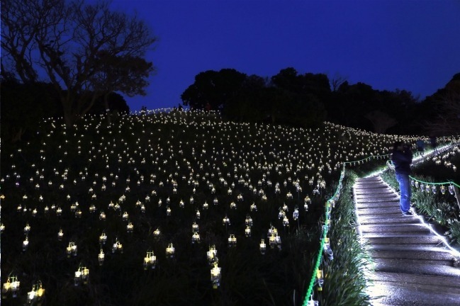 絶景イルミネーション「水仙岬のかがやき2019」福井で - 16,100個のLEDによる“電飾の花”｜写真3
