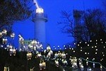 絶景イルミネーション「水仙岬のかがやき2019」福井で - 16,100個のLEDによる“電飾の花”｜写真5