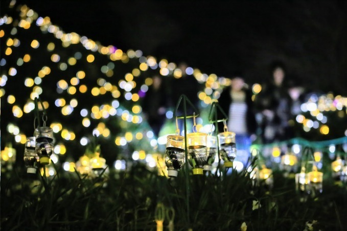 絶景イルミネーション「水仙岬のかがやき2019」福井で - 16,100個のLEDによる“電飾の花”｜写真1