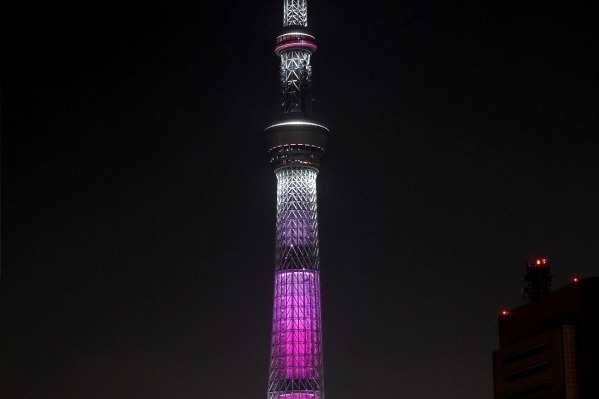 「世界一高い桜」