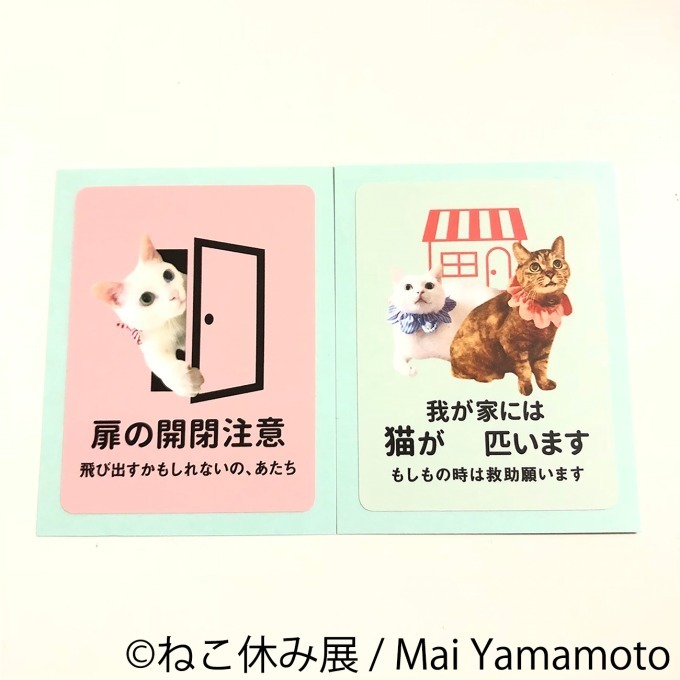 写真展＆物販展「ねこ休み展 in 名古屋」春感じる作品250点以上、静岡＆初の広島でも開催｜写真27