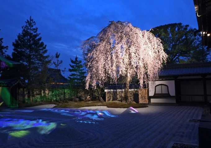 京都・祇園のラグジュアリーホテル「そわか」オープン、元老舗料亭の数寄屋建築をリノベーション｜写真19