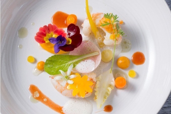 「クック ジャパン プロジェクト」