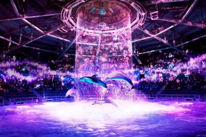 お花見｜マクセル アクアパーク品川×ネイキッド「サクラアクアリウム」“桜の海”でイルカやペンギンとお花見を