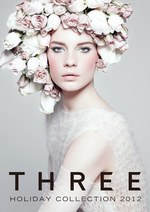 スリー(THREE) 雪と氷の光の世界｜写真1