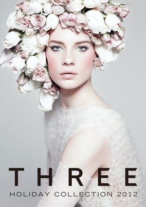 スリー(THREE) 雪と氷の光の世界｜写真1