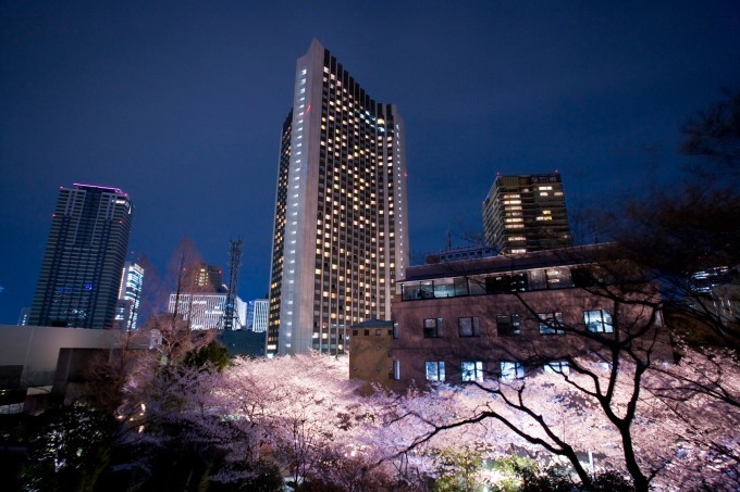 ANAインターコンチネンタルホテル東京「さくらアフタヌーンティーセット」桜色のマカロン＆和菓子｜写真4