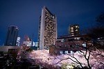 ANAインターコンチネンタルホテル東京「さくらアフタヌーンティーセット」桜色のマカロン＆和菓子｜写真4