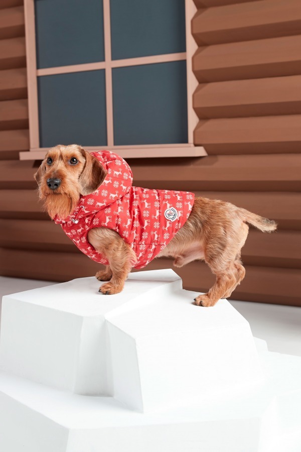 モンクレール ジーニアス ポルド ドッグクチュール Moncler Genius Poldo Dog Couture 19 年秋冬ウィメンズ メンズコレクション ファッションプレス