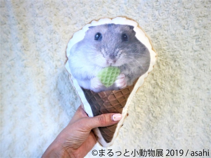 「まるっと小動物展」春の巡回展が静岡・広島・名古屋で - 約250点の作品展示、チンチラが新登場｜写真15