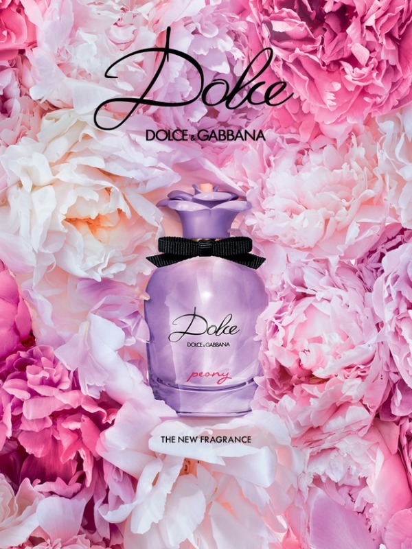 dolce＆gabbana ♡ ピオニー　カーディガン