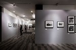 世界のアート・フォト市場を実感できる大規模イベント「TOKYO PHOTO 2012」開催｜写真6
