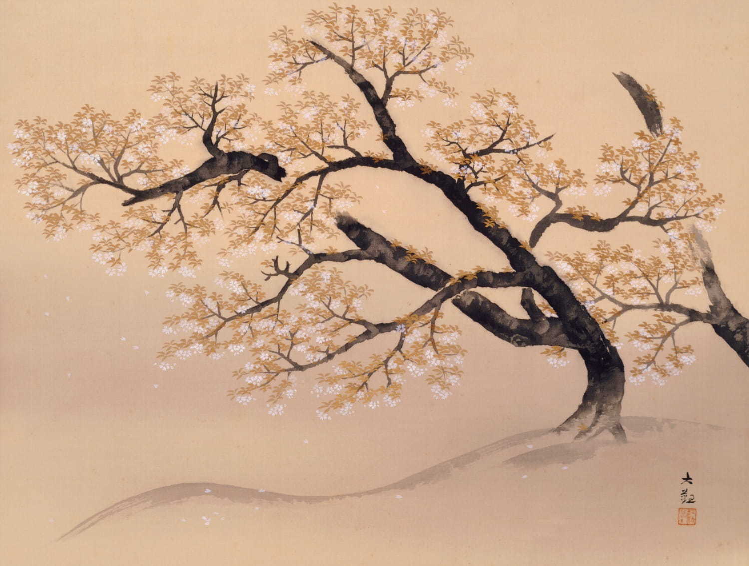 横山大観《山桜》1934(昭和9)年 絹本・彩色 山種美術館